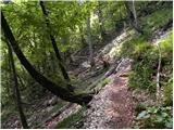 Koča pri Savici - Planina Viševnik